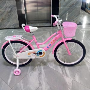 size 20 ladybird kid bike children bike with front basket and back seat