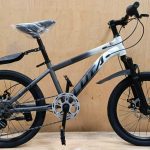 luta mountain bike with gear size 20