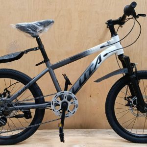 luta mountain bike with gear size 20