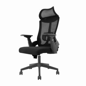 Orthopedic 2 high back adjustable and a comfortable office chair